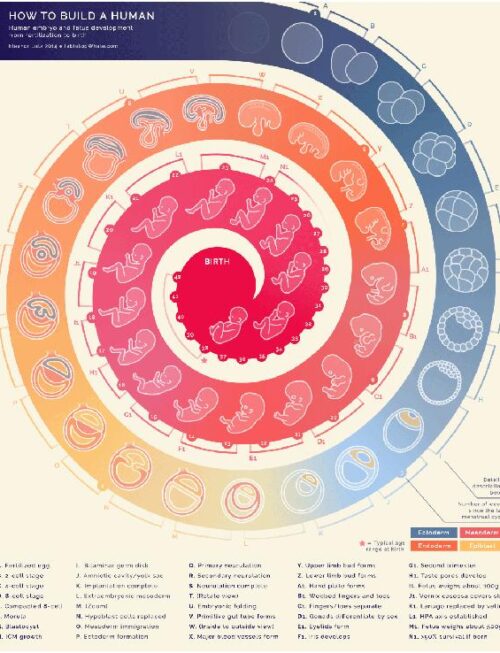 BRILLIANT COLORS - Again And Again Vinyl Record