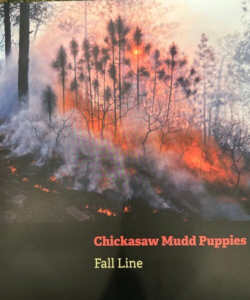 CHICKASAW MUDD PUPPIES - Fall Line (Clear Orange Vinyl) Vinyl Record