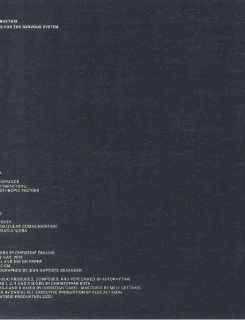 AUTORHYTHM - Songs For The Nervous System Vinyl Record