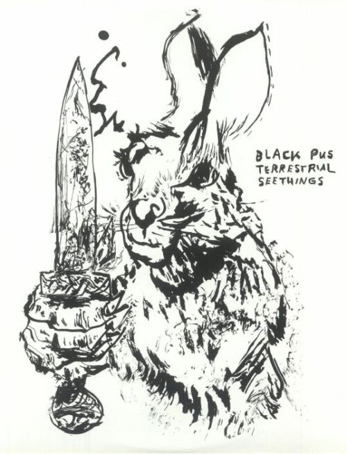 BLACK PUS - Terrestrial Seethings Vinyl Record