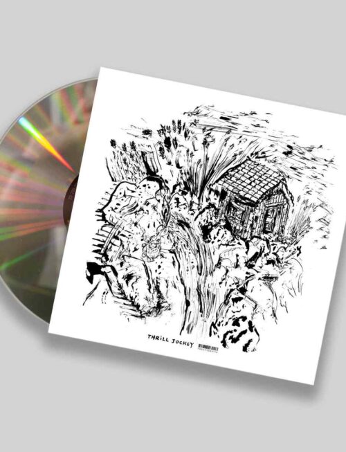 BLACK PUS - Terrestrial Seethings (Silver Bullet Vinyl) (Indie Exclusive) Vinyl Record