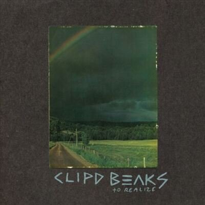 CLIPD BEAKS - TO REALIZE Vinyl Record