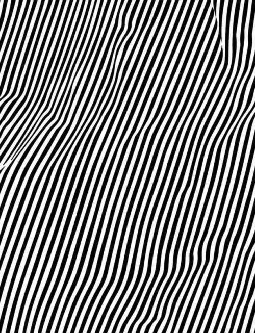 ANIMAL HOSPITAL - Fatique Vinyl Record