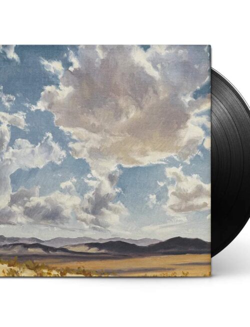 AMERICAN AQUARIUM - FEAR OF STANDING STILLTHE Vinyl Record