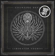 COUNTING DAYS - Liberated Sounds Vinyl Record