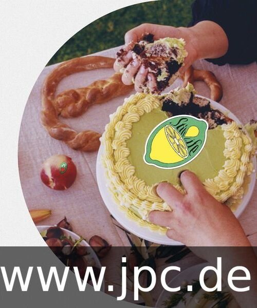 ALASKALASKA - STILL LIFE Vinyl Record