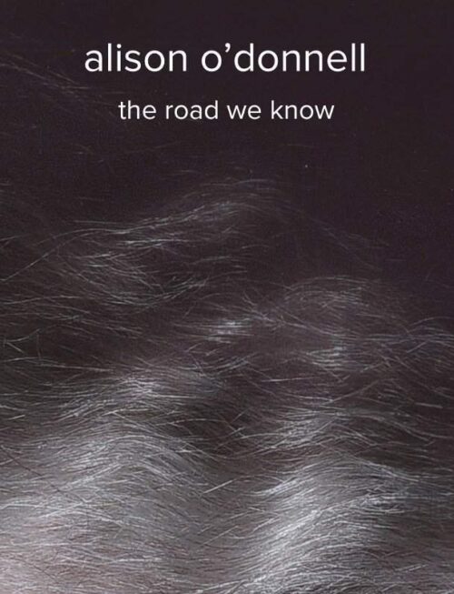 ALISON ODONNELL - The Road We Know Vinyl Record