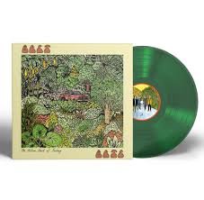 BEST BETS - HOLLOW HUSK OF FEELING THE Vinyl Record