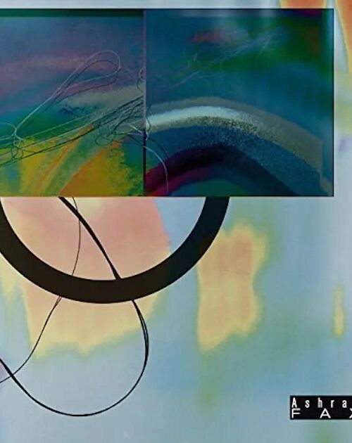 ASHRAE FAX - NEVER REALLY BEEN INTO IT Vinyl Record