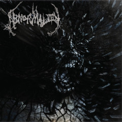 ABNORMALITY - Mechanisms Of Omniscience Vinyl Record