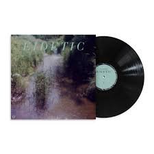 BENOIT PIOULARD - EIDETIC Vinyl Record