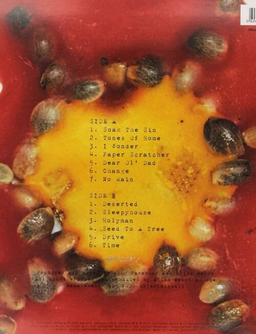 Blind Melon - Blind Melon (1LP) Vinyl Record