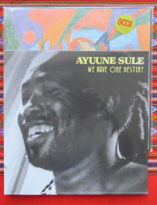 AYUNNE SULE - We Have One Destiny Vinyl Record