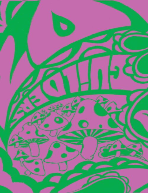 20 GUILDERS - 2 Vinyl Record