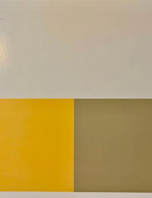 ALVA NOTO & RYUICHI SAKAMOTO - REVEP (REMASTER) Vinyl Record