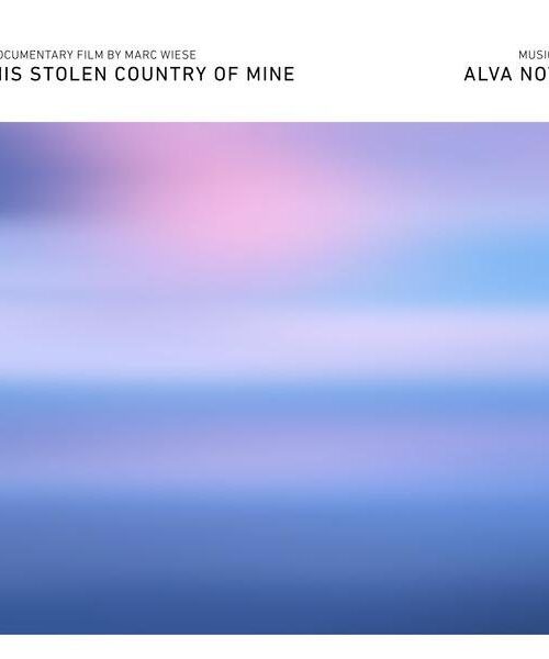ALVA NOTO - THIS STOLEN COUNTRY OF MINE Vinyl Record