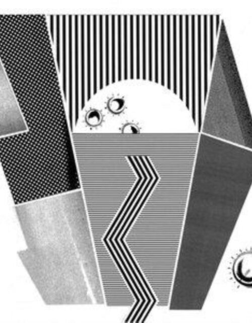 BEN SHEMIE - 303 Diary Vinyl Record