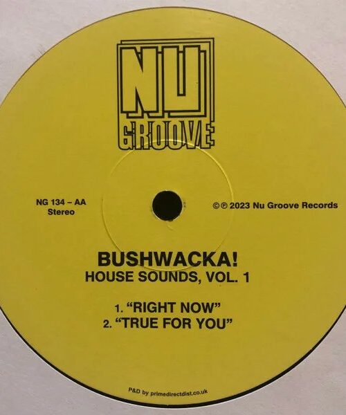 BUSHWACKA - HOUSE SOUNDS VOL 1 Vinyl Record