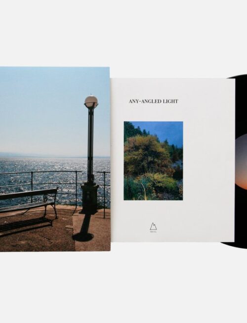ANY-ANGLED LIGHT - ANY-ANGLED LIGHT Vinyl Record