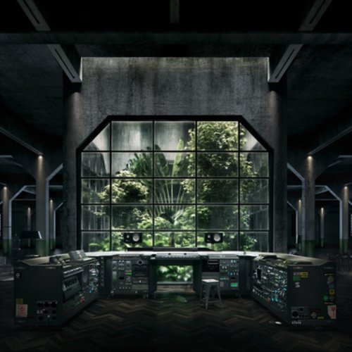 BOK BOK - YOUR CHARIZMATIC SELF Vinyl Record