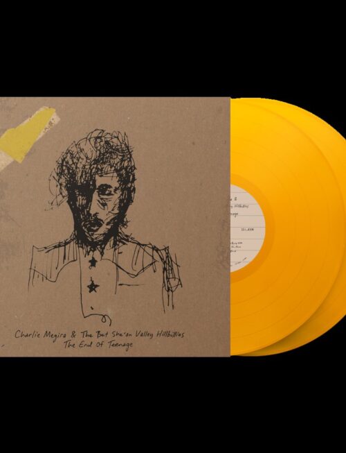 CHARLIE MEGIRA - END OF TEENAGE Vinyl Record