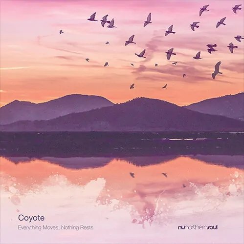 COYOTE - EVERYTHING MOVES NOTHING RESTS Vinyl Record