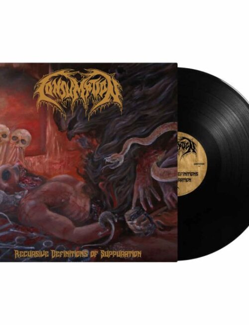 CONSUMPTION - RECURSIVE DEFINITIONS OF SUPPU Vinyl Record