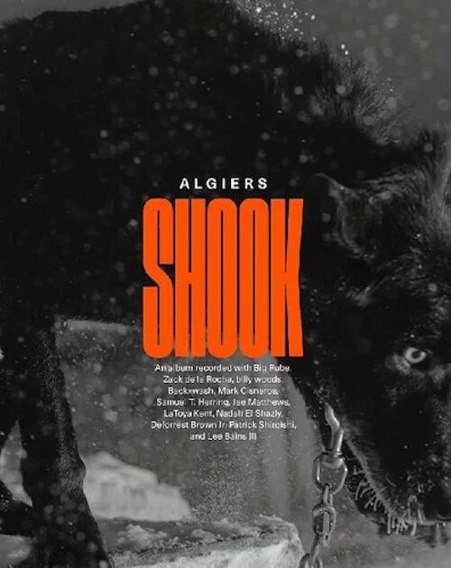 ALGIERS - SHOOK Vinyl Record