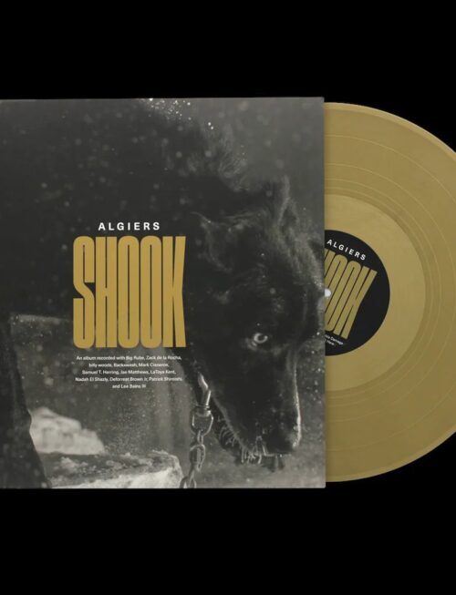 ALGIERS - SHOOK Vinyl Record