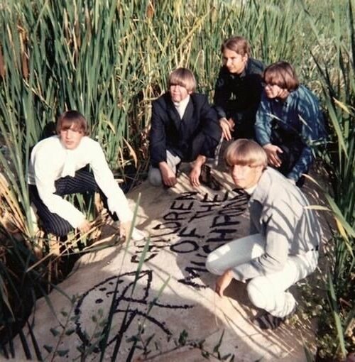 CHILDREN OF THE MUSHROOM - Children Of The Mushroom Vinyl Record
