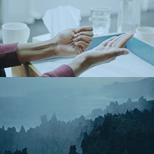 AARON CUPPLES - Island Of The Hungry Ghosts Vinyl Record