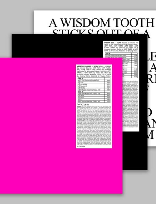 AMNESIA SCANNER & FREEKA TET - HOAX +¬†STROBE.RIP Vinyl Record