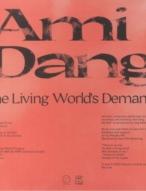 AMI DANG - The Living Worlds Demands Vinyl Record