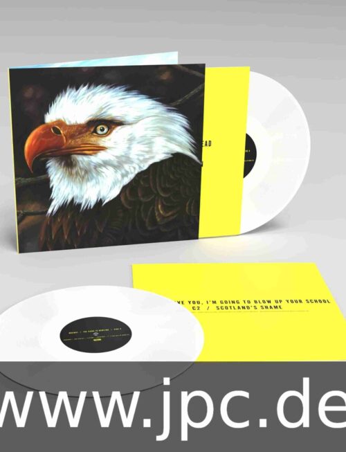 MOGWAI - THE HAWK IS HOWLING Vinyl Record