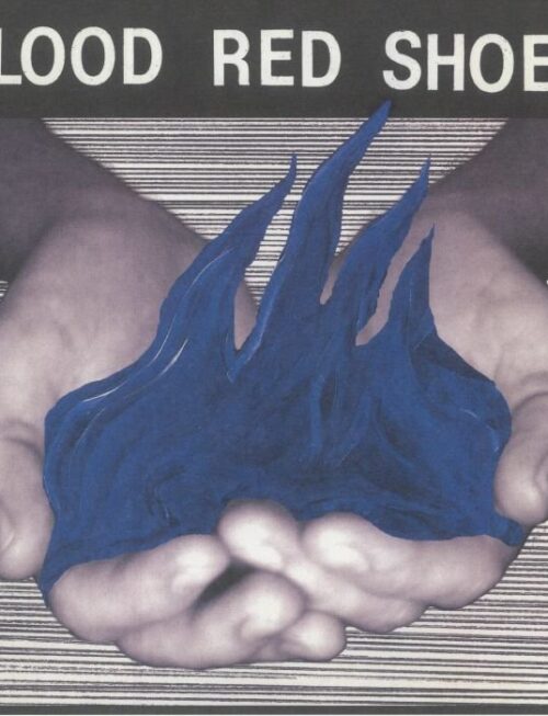 BLOOD RED SHOES - FIRE LIKE THIS Vinyl Record