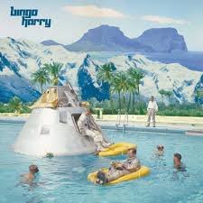 BINGO HARRY - BINGO HARRY Vinyl Record