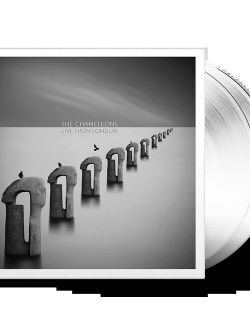 CHAMELEONS - Live From London (Clear Vinyl) Vinyl Record