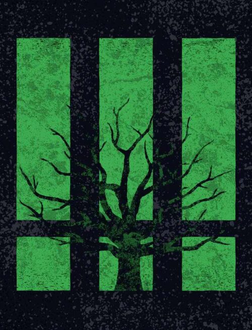 BLACK OAK COUNTY - Iii Vinyl Record