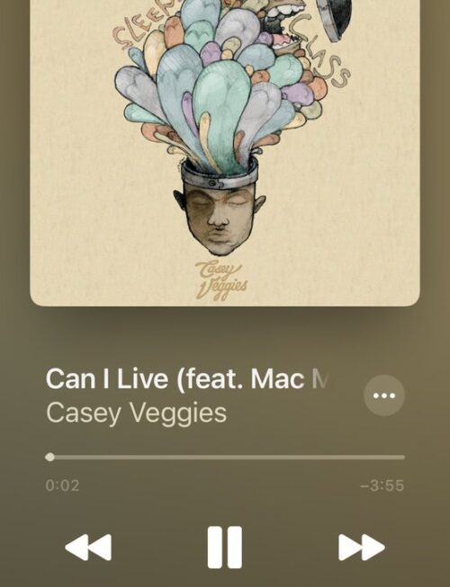 CASEY VEGGIES - LIFE CHANGES Vinyl Record