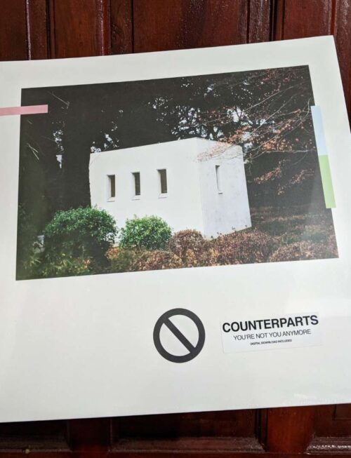 COUNTERPARTS - YOURE NOT YOU ANYMORE Vinyl Record