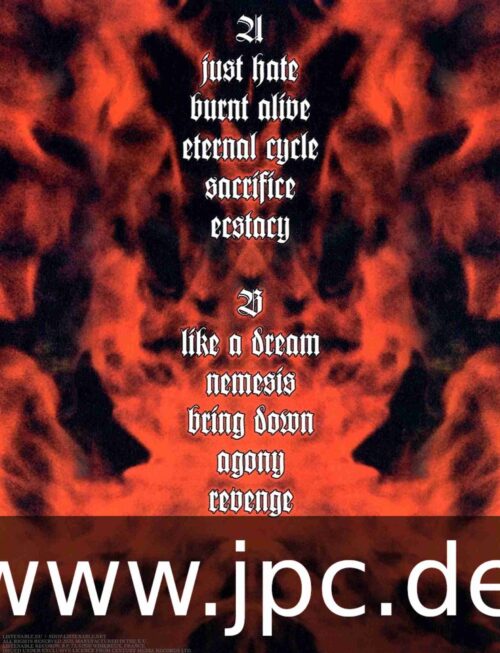 ALASTIS - Revenge Vinyl Record