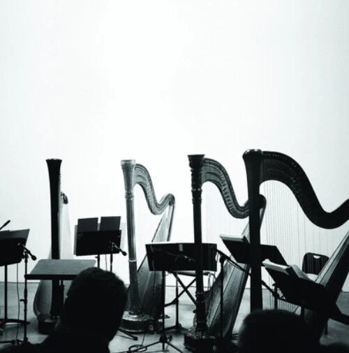 BEHAVIOR - Spirits & Embellishments Vinyl Record