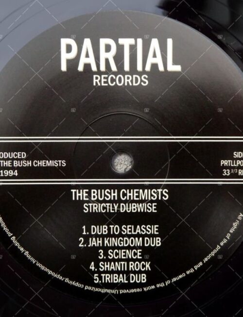 BUSH CHEMISTS THE - STRICTLY DUBWISE Vinyl Record