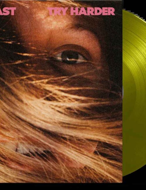 AERIAL EAST - TRY HARDER Vinyl Record