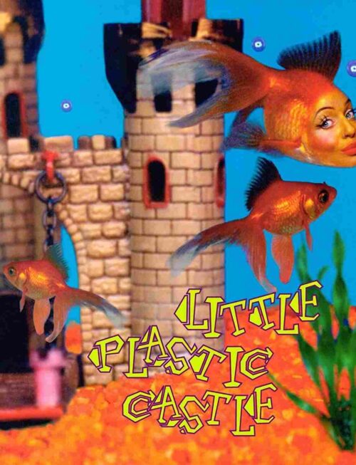 ANI DIFRANCO - LITTLE PLASTIC CASTLE (25TH AN Vinyl Record