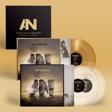 AWOLNATION - RUN (10TH ANNIVERSARY DELUXE EDITION) Vinyl Record