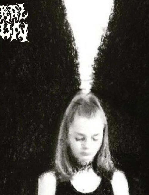 VIRAL SUN - Viral Sun Vinyl Record