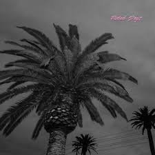 ACTUAL WOLF - FADED DAYS Vinyl Record