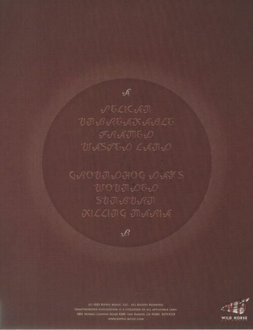 APPALOOZA - The Shining Son Vinyl Record