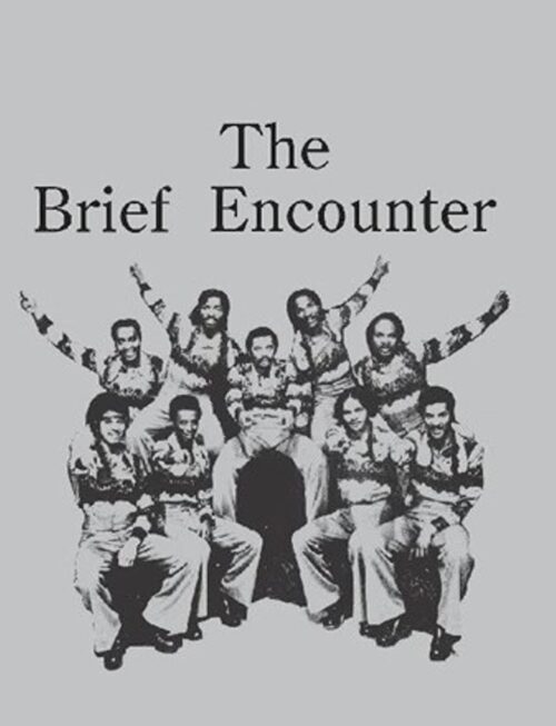 BRIEF ENCOUNTER - INTRODUCING THE BRIEF ENCOUNTE Vinyl Record